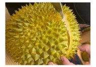精彩糖心榴莲视频在线观看分享，带你领略榴莲的美味与魅力