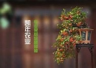 糖心独墦在线免费观看，甜蜜爱情故事尽在其中