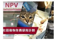 糖心一区：探寻甜蜜生活的理想选址与精彩活动分享