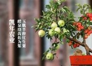 糖心TV在线免费观看：畅享精彩影视内容