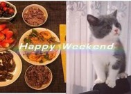 轻松愉快的糖心Vlog：锅锅酱与沙发上的有趣瞬间！