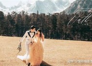 糖心天美91在线：超清视频分享，带你领略不一样的视觉享受