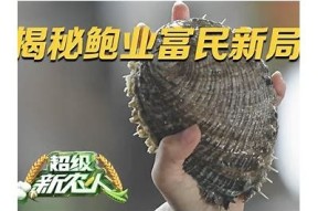 探索糖心鲍鱼的原产地及其在中国的养殖现状